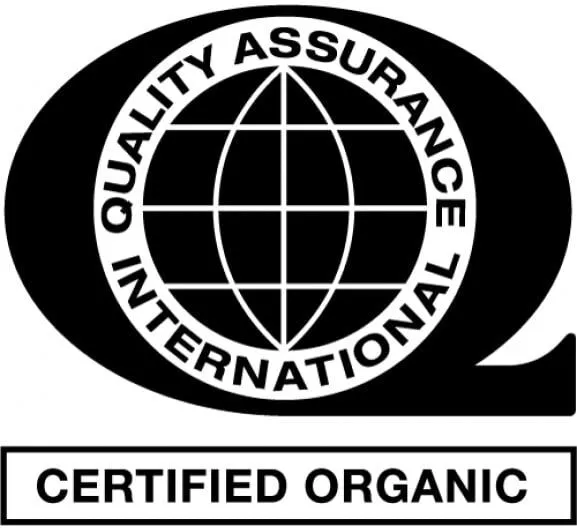 quality assurance international e1722616529938 5